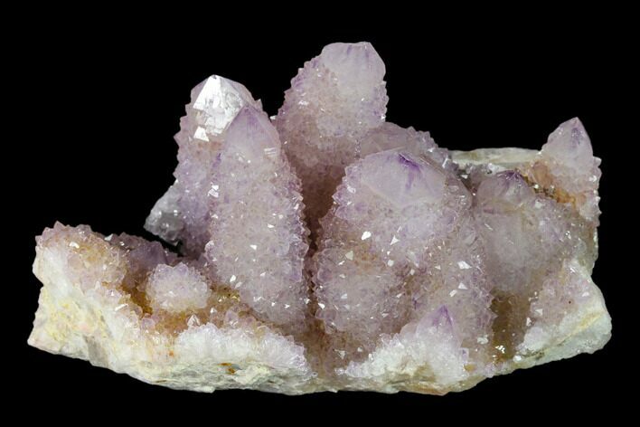 Cactus Quartz (Amethyst) Crystal Cluster - South Africa #137816
